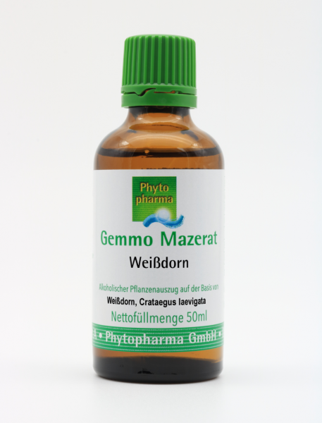 Gemmo Mazerat Weißdorn (Crataegus laevigata)